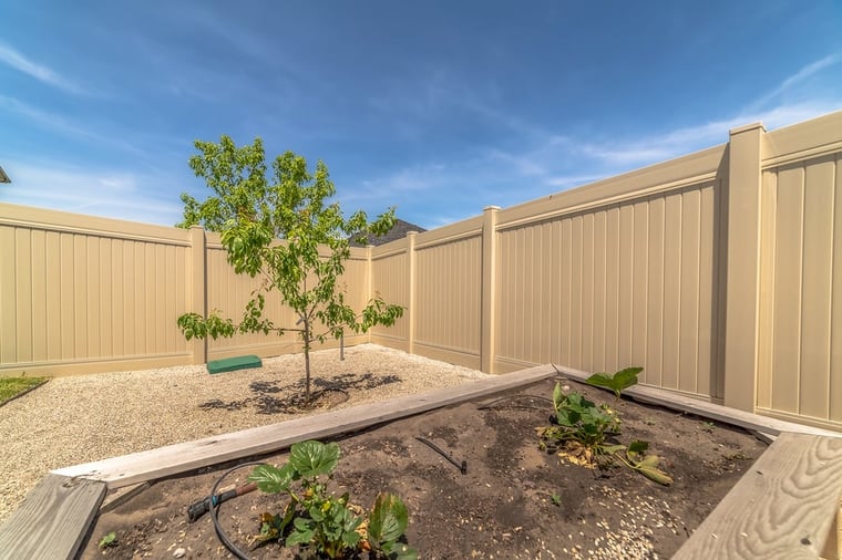 Plant These Trees If You Have a Small Backyard